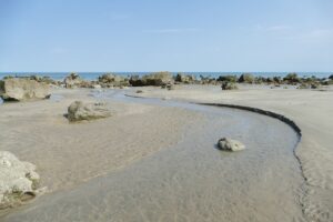 Image by [Eveline de Bruin](https://pixabay.com/users/mrsbrown-692504/?utm_source=link-attribution&utm_medium=referral&utm_campaign=image&utm_content=7452540) from [Pixabay](https://pixabay.com//?utm_source=link-attribution&utm_medium=referral&utm_campaign=image&utm_content=7452540)